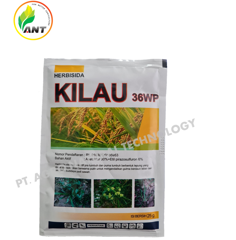 Kilau 36 WP